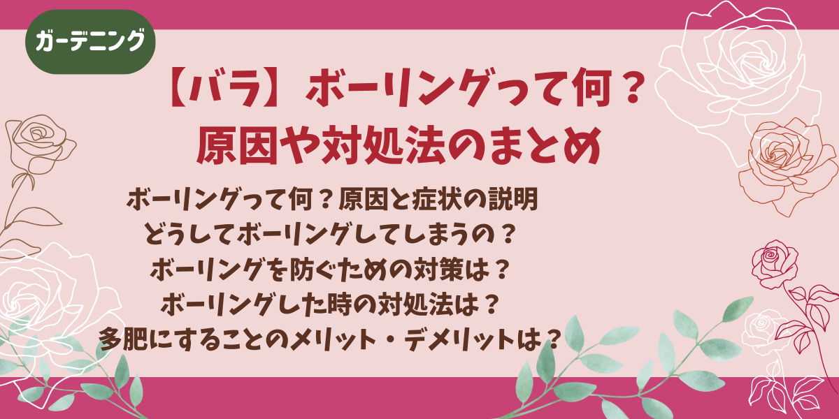バラのボーリングって何？原因や対処法のまとめ